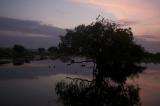 Yala National Park